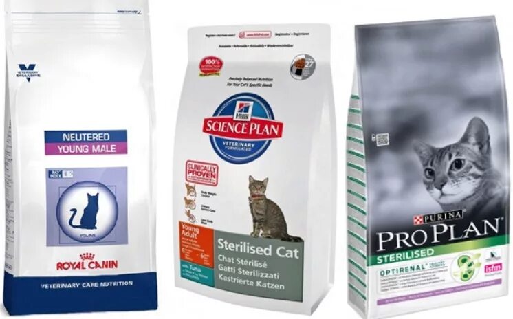 Сухой корм для кошек какой выбрать стерилизованных. Chicopee hnl cat sterilized сухой корм для стерилизованных кошек.
