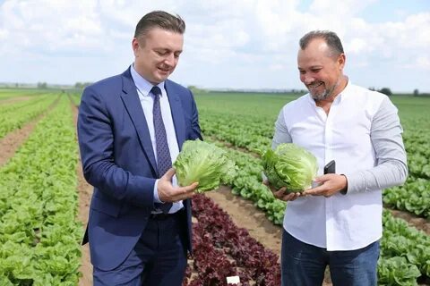Кфх как юр лицо