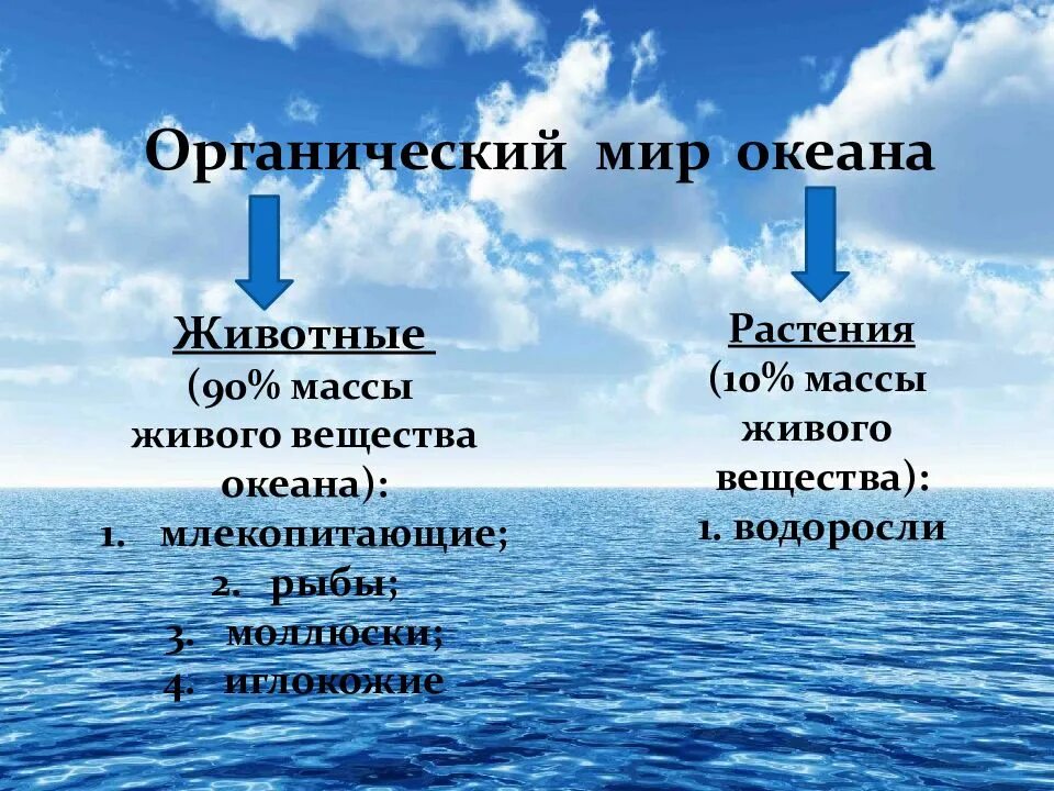 Органический мир. Органический мир океанов. Природный комплекс моря. Особенности природного океана