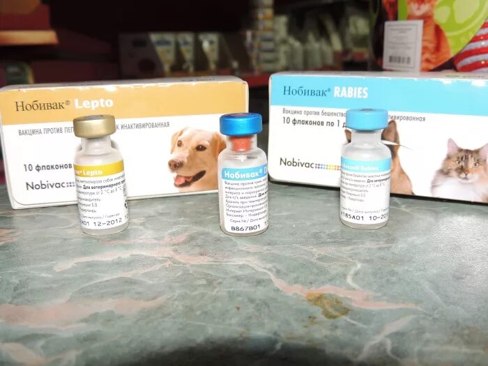 Нобивак для собак от чего. Комплексная вакцина для собак Нобивак. Нобивак комплексная прививка для собак. Нобивак комплекс с бешенством для собак. Нобивак DHPPI + Rabies вакцина для собак.