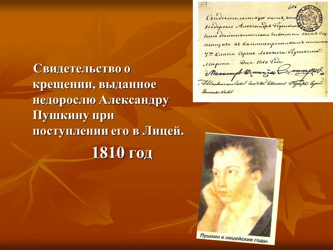 Где крещен пушкин. Свидетельство о Пушкине. Свидетельство, выданное Пушкину по окончании лицея. 1810 Год русской литературы. Свидетельство лицеиста.