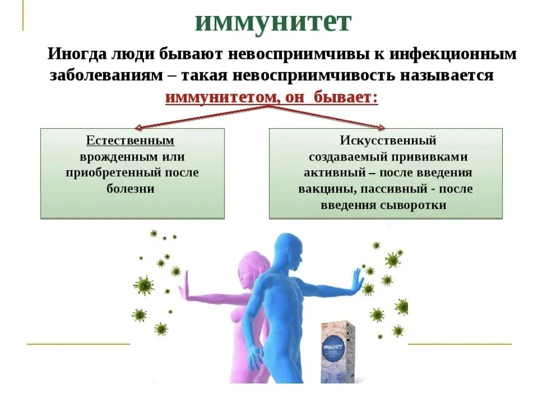 Состояние организма при котором замедляется жизненные процессы