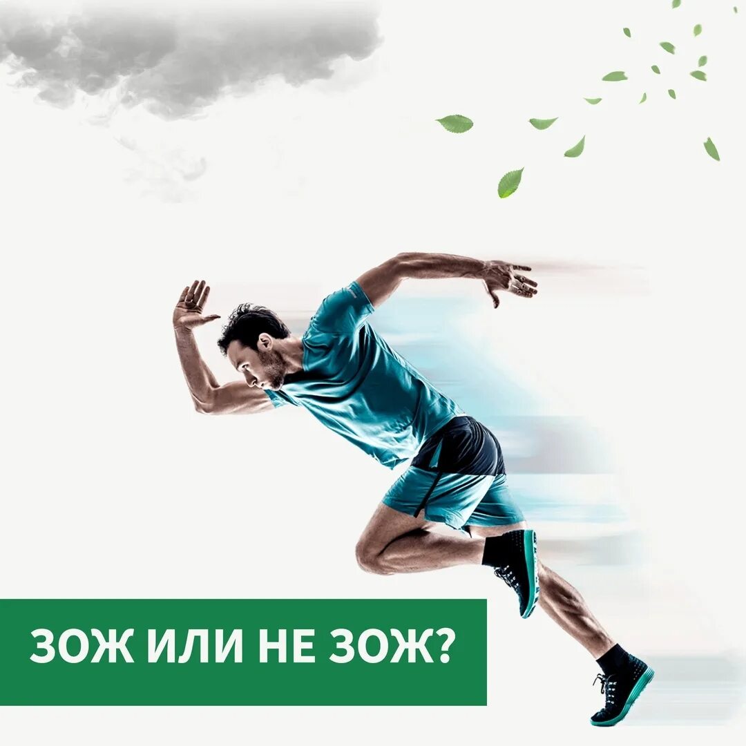 Здоровый образ жизни это образ жизни. Мы за здоровый образ жизни. Курсы зож. Зож. Основные составляющие здорового образа жизни.