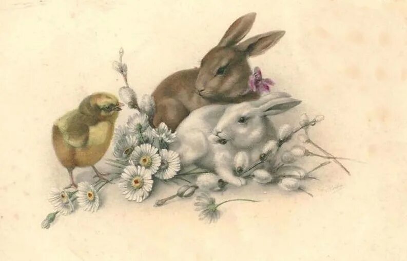 Заяц для декупажа. Кролик в винтажном стиле. Животные в винтажном стиле. Животные винтаж. Винтажные иллюстрации зверей.
