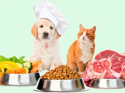 Ветдиетолог для собак