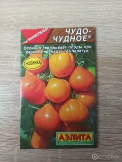 Томаты аэлиты