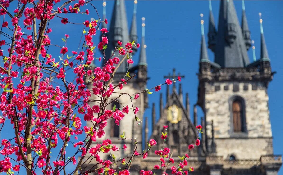 Экскурсионные туры на майские праздники. Прага весной. Чехия весной.
