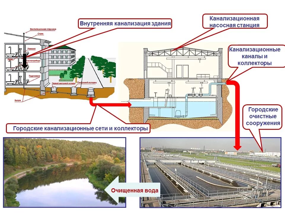 Система водоотведения схема. Канализационный коллектор схема. Схема коллектора канализации. Централизованная схема водоотведения. Какое водопроводное устройство