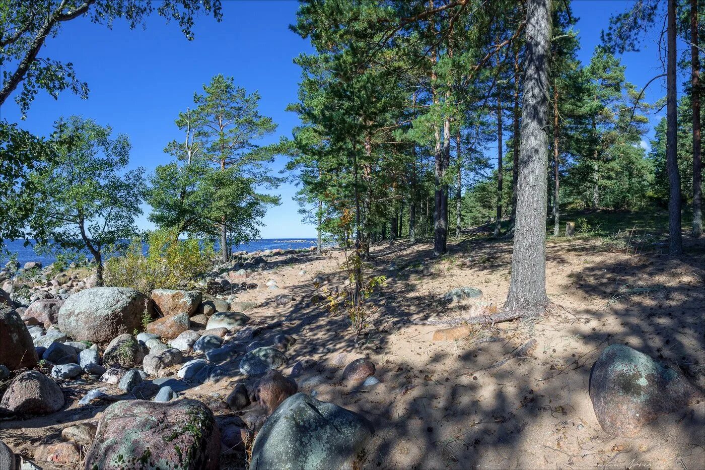 погода репино ленинградская на 14. репино берег залива. сосновый бор спб залив. репино вдоль залива. репино ленинградская область.