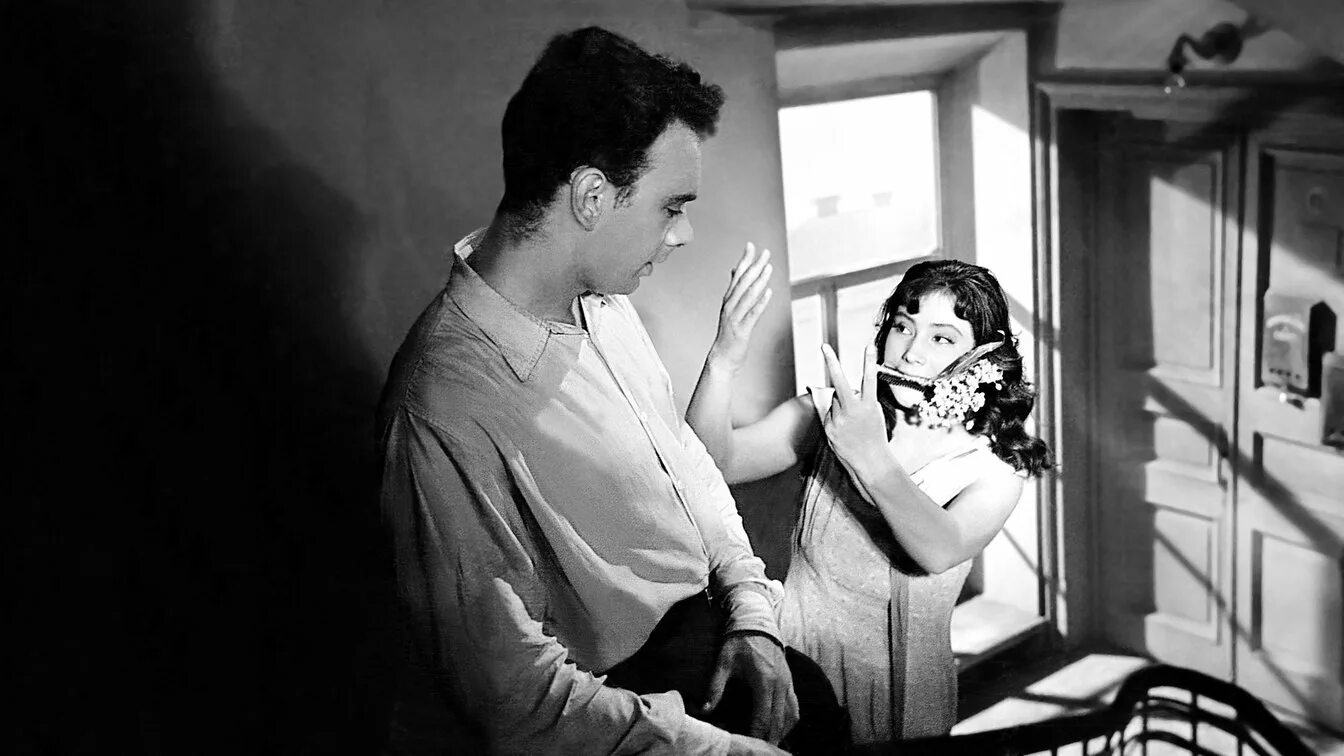 «летят журавли» режиссера михаила калатозова. к. к. летят журавли о чем. "летят журавли", 1957 г.