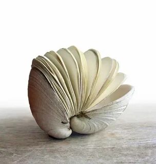 Книга ракушек