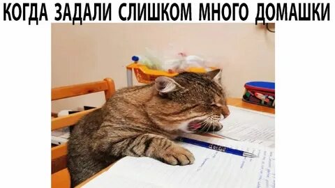 Дезмораль