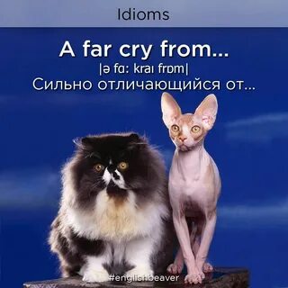 Глядя на них