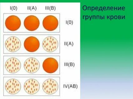 Определите как выглядит