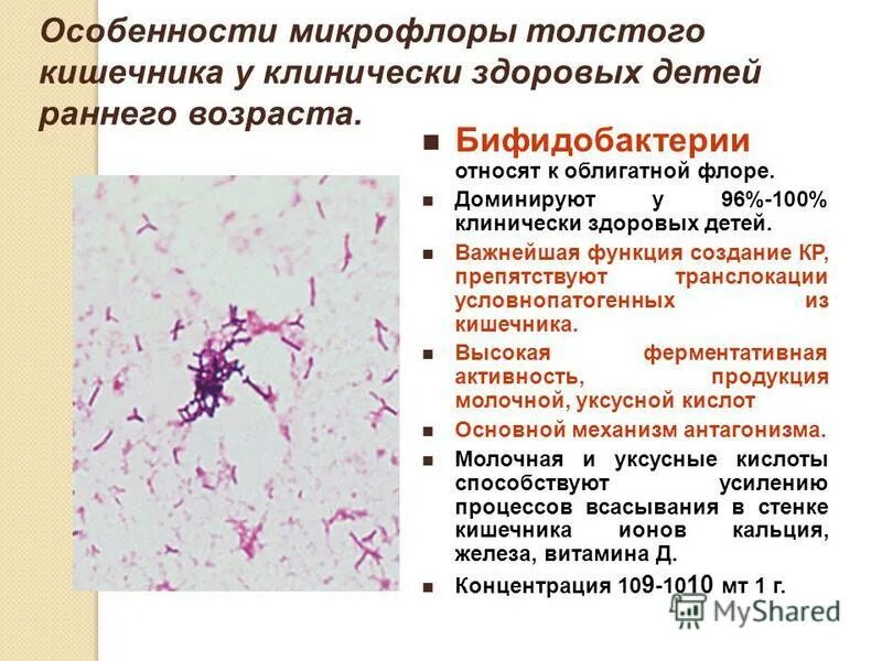 Для кишечной микрофлоры для детей. Нарушение микрофлоры у детей. Дисбактериоз кишечника у младенца симптомы. Профилактика дисбиотических нарушений у детей. Кишечный дисбактериоз проявления.