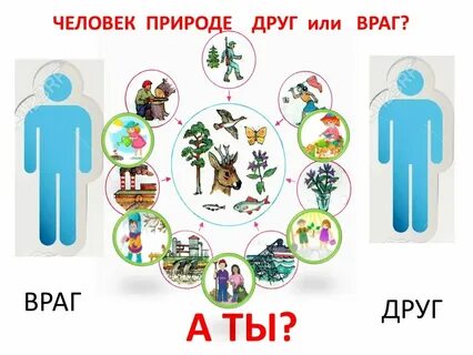 Почему полезна природа