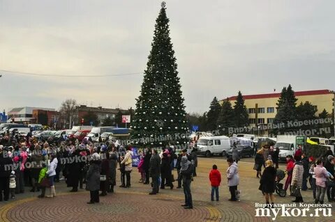 Кореновск отзывы