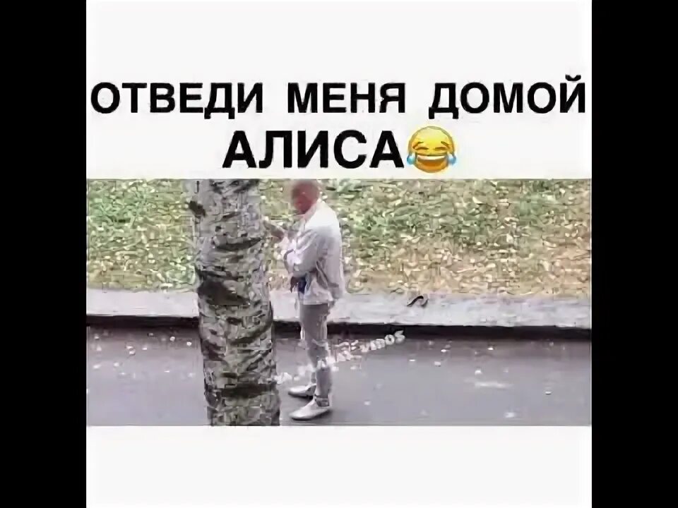 Алиса где я сейчас нахожусь. Алиса мем. Алиса люблю тебя. Дебильная алиса. Алиса не бросай.