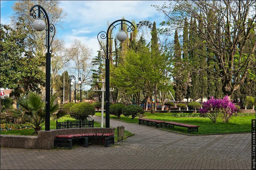 Как в адлере в апреле. Погода в адлере в начале апреля. Адлер весной в марте. Адлер в апреле. Погода в адлере в начале апреля.