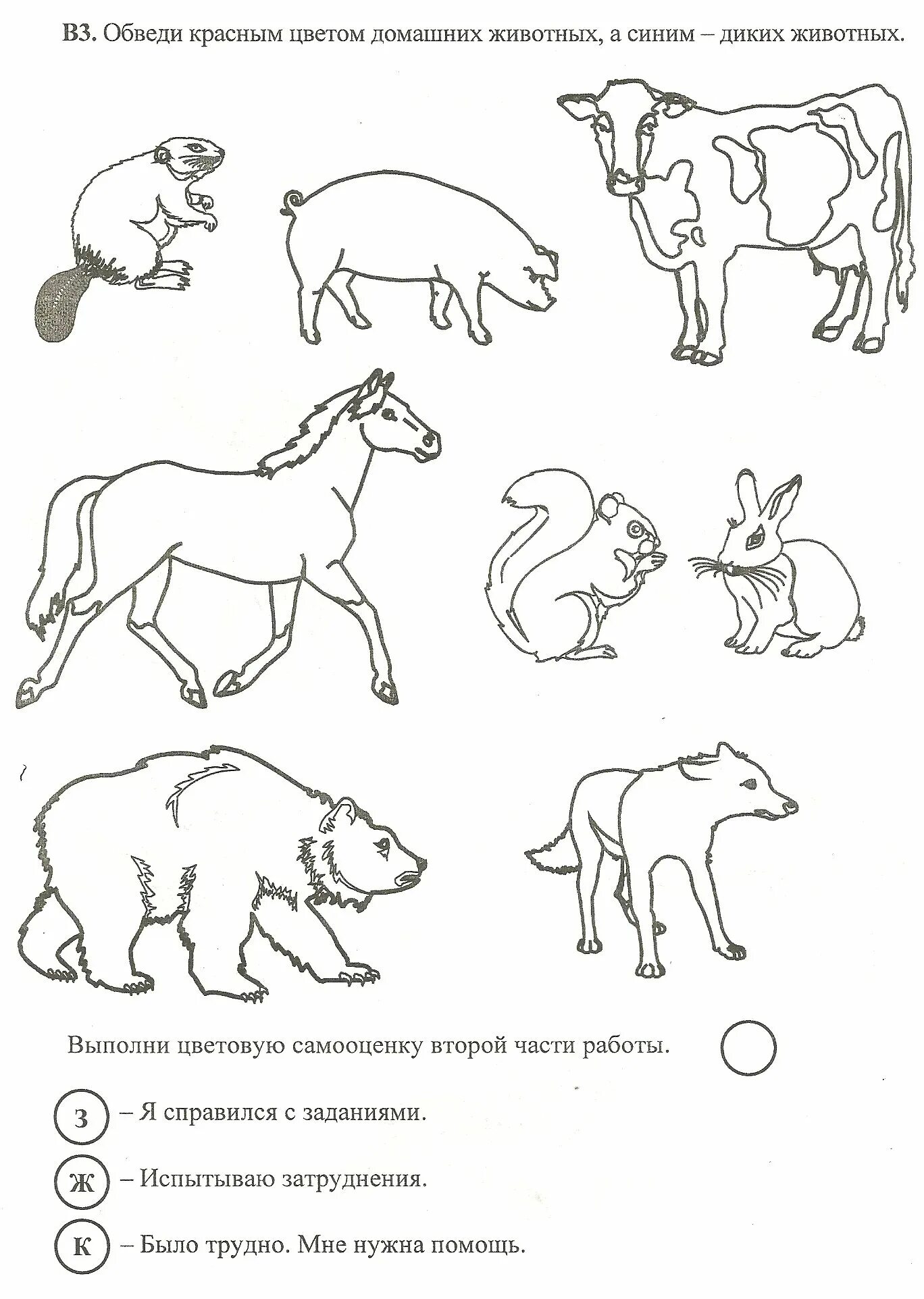 Задание про животных
