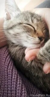 Первая вторая че дрожишь малая песня