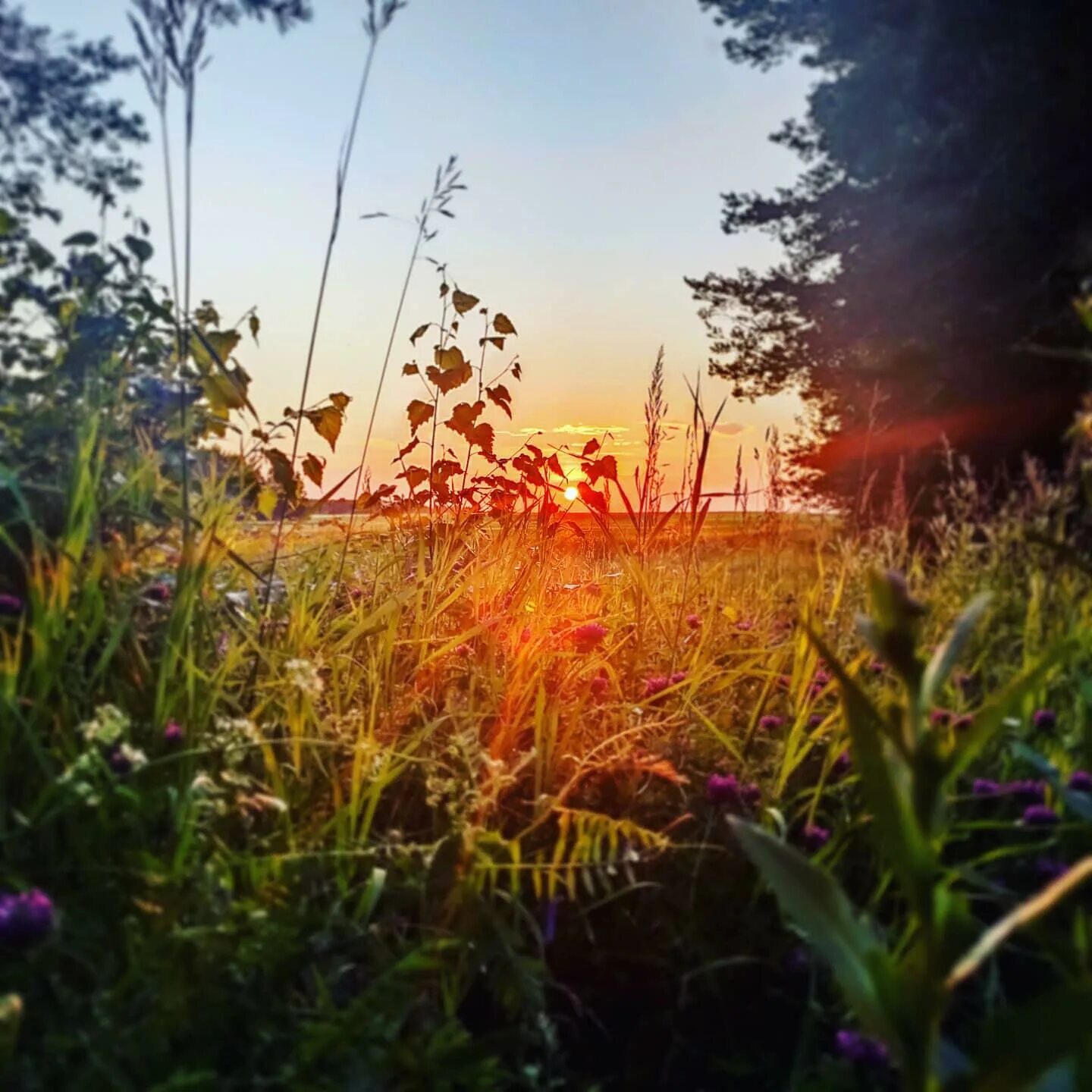 Немного прекрасного. Немного прекрасного. Женственность. Dreams of women by andreas. Немного прекрасного.