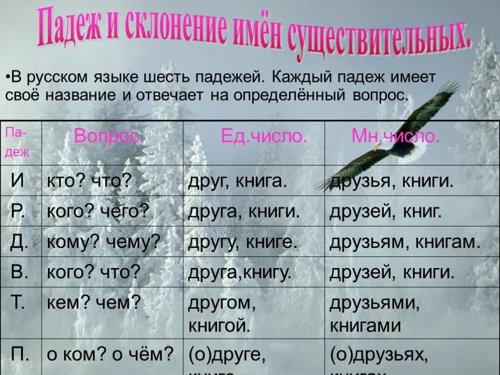 Тема падежи имен существительных 3 класс. Падежи русского языка. Пажеди русского я ЗЫКК. Падежи русского языкака. Падежи имен существительных таблица.