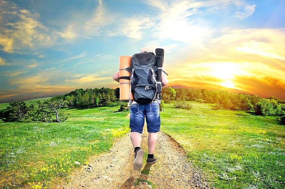 Cut travel