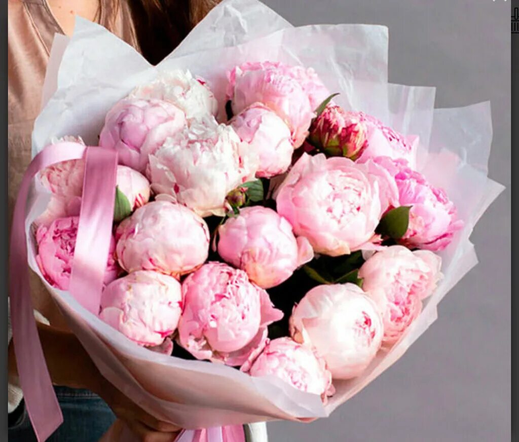 Голландские пионы. 51 пион букет. Пионы 35 шт. Пилнв опт. Пионы оптом.
