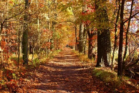 See your path