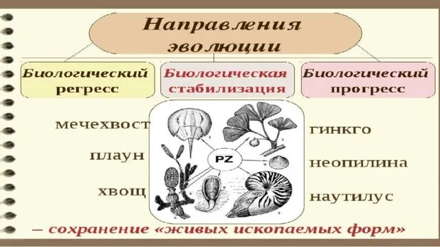 "Причины вымирания видов . Биологический прогресс и биологический регресс" - пре