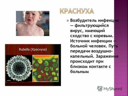 Название кори
