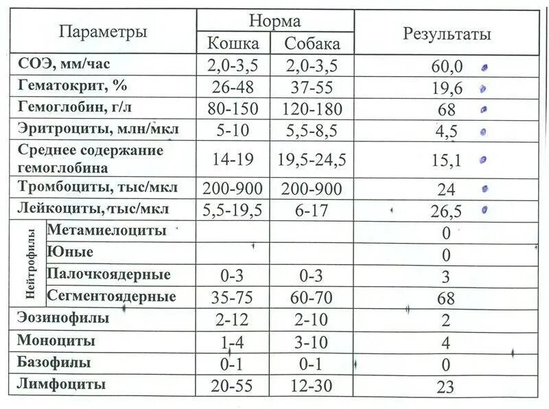 Соэ 3 мм. СОЭ 16 мм/ч у женщины. Показатели СОЭ В крови норма у женщин. Нормальные показатели СОЭ У детей. Таблица показателей СОЭ У детей в норме.