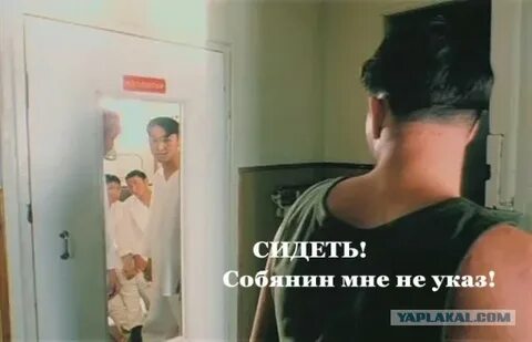 Дмб ветрянка