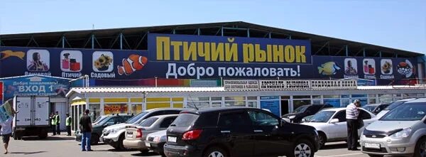 Птичьем рынке какое число