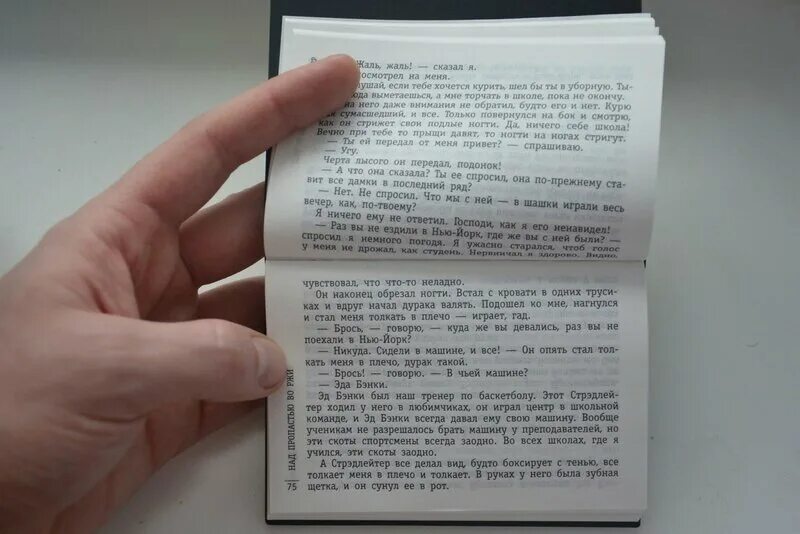 Это был маленький почти карманный альбом огэ