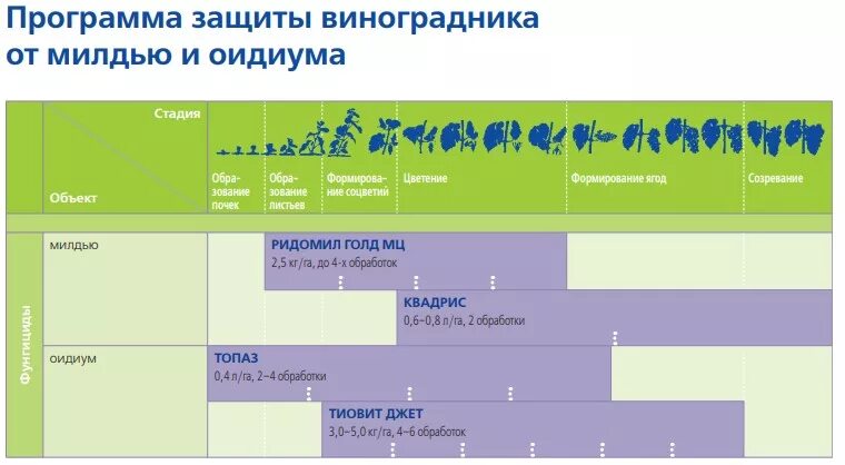 Программа защиты