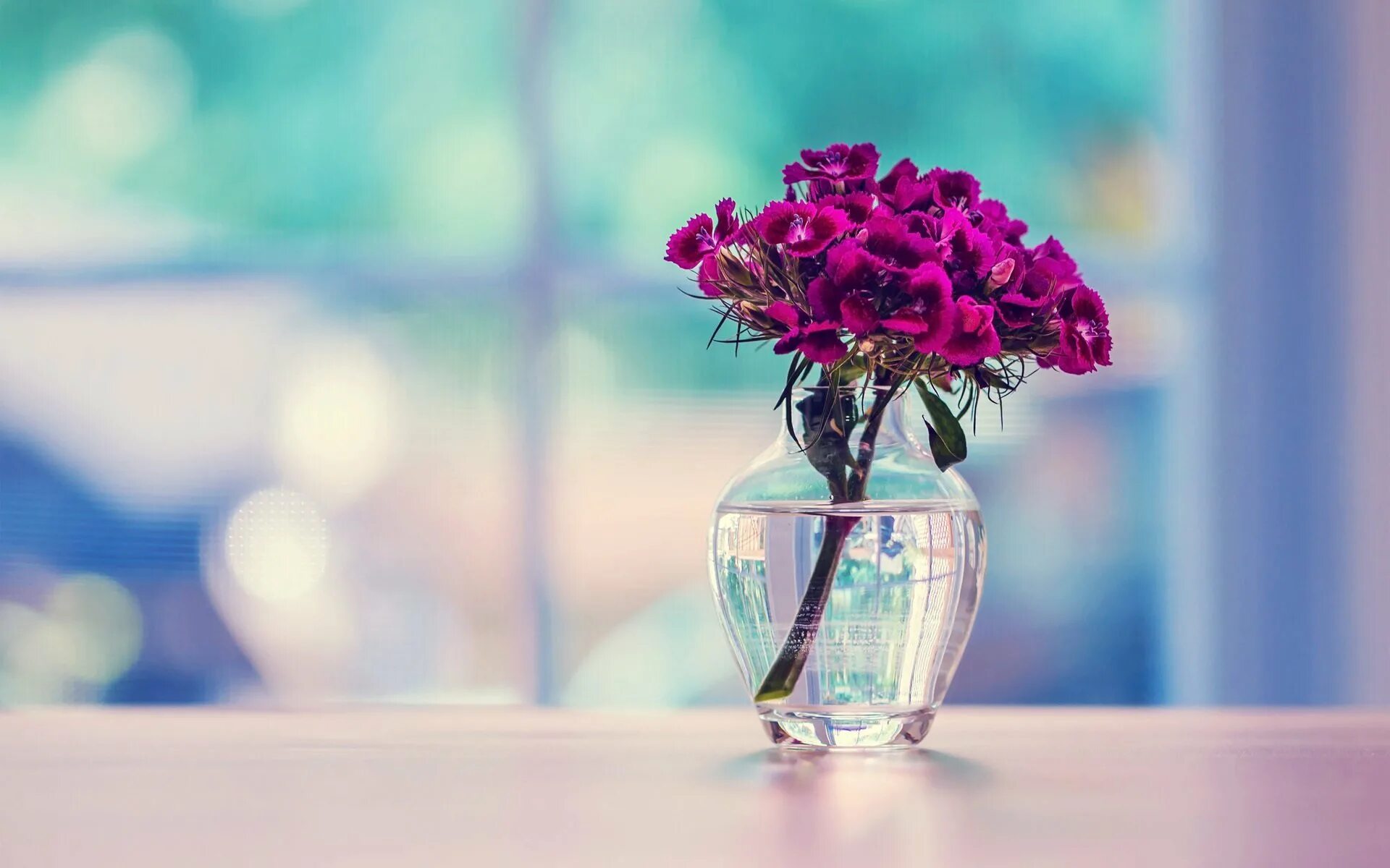 Фон хорошего дня. Цветы в вазе. Стильные цветы. Цветочки в вазе. Красивые цветы в вазах.