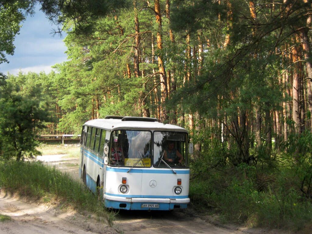 Автобус в деревню. Лаз 695н. лаз 695н ранний. сельский автобус лаз. лаз-6205.