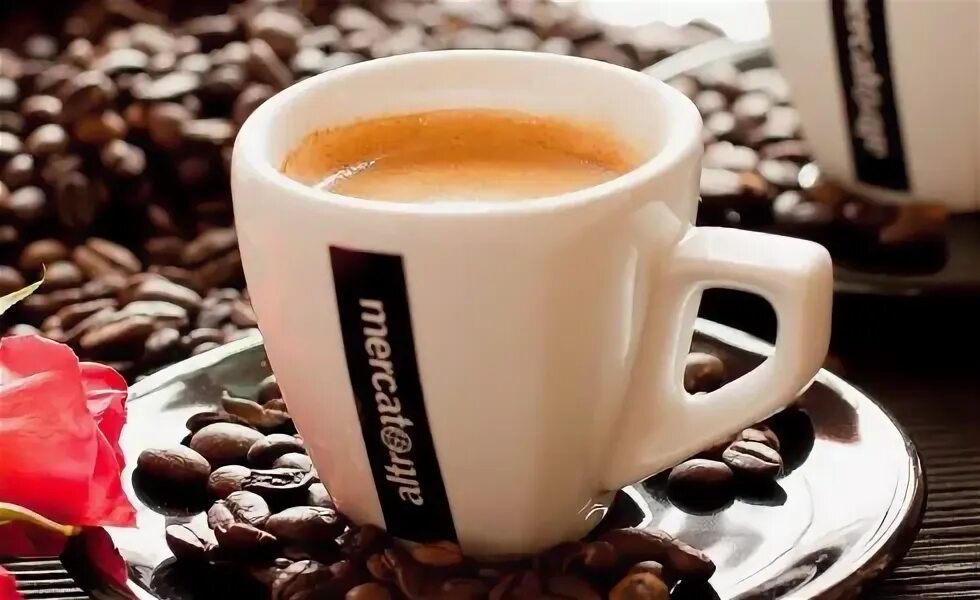 Марина хлебникова чашка кофею обложка. Чашку кофию. Чашку кофию. Турка для молотого кофе. Химический элемент кофий.