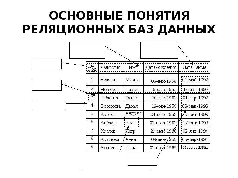 Что входит в бд