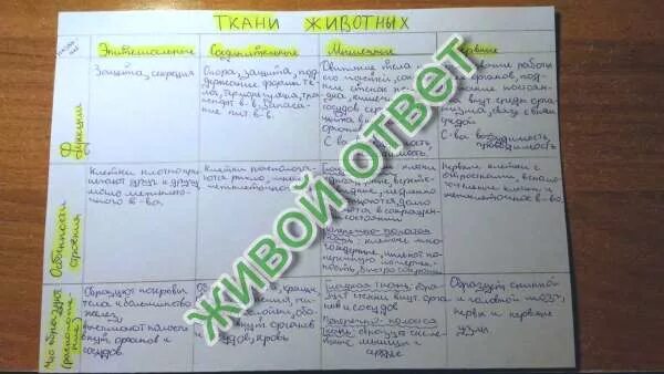 Биология 5 класс параграф 18 стр 117. Ткани биология 8 класс таблица. Параграф по биологии ткани растений. Таблица по биологии 8 класс ткани. Таблица тканей по биологии 8 класс параграф 8.