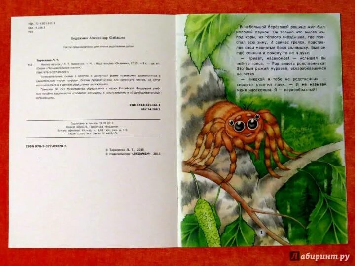 Паук из сказки. Сказка про паучка для детей. Сказка про паучка. Стишок про паучка. Сказка про паучка в стихах.