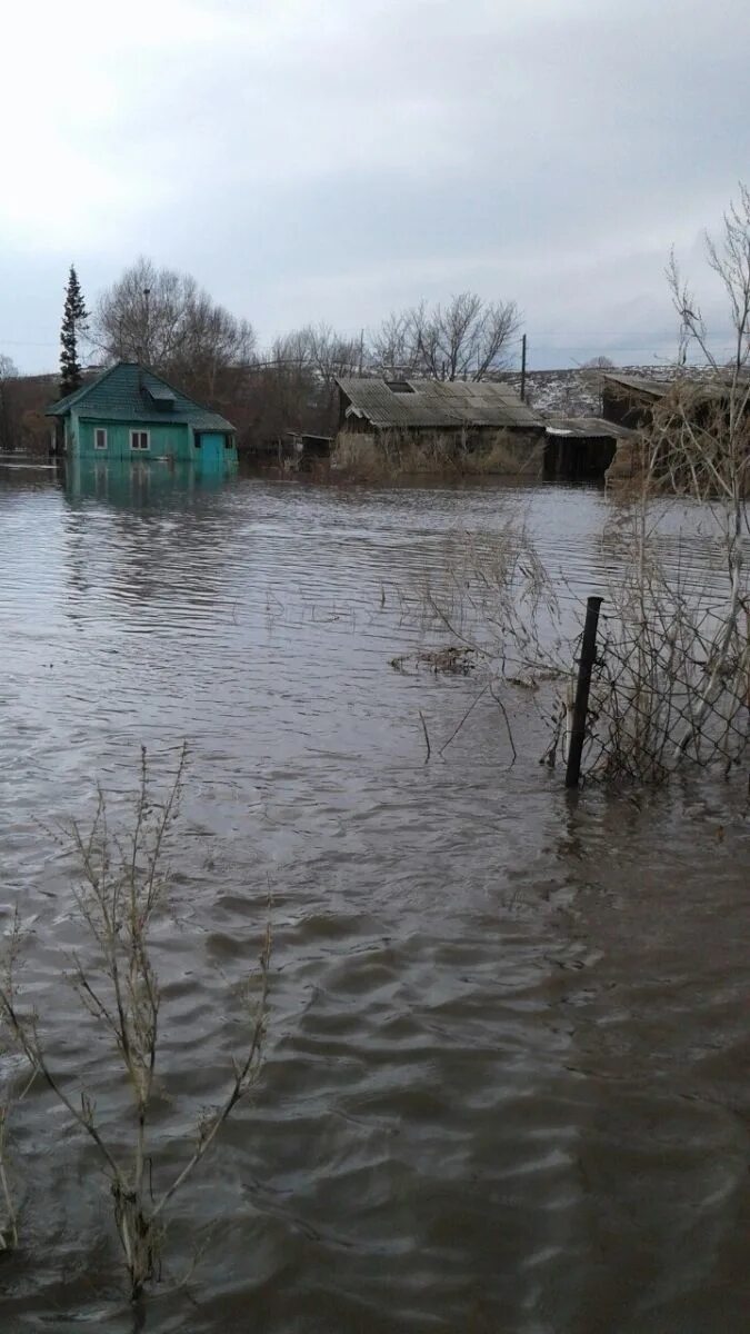 Черемшанка вко. Погода вко глубоковский. Вко опытное поле фото. Наводнения вко. Погода вко глубоковский.