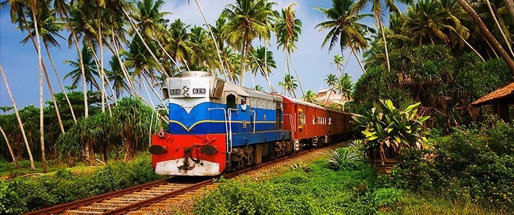 Банки шри ланки. Шри Ланка железная дорога. Шри Ланка поезд. Транспорт на Шри Ланке. Железная дорога на Шри Ланке.