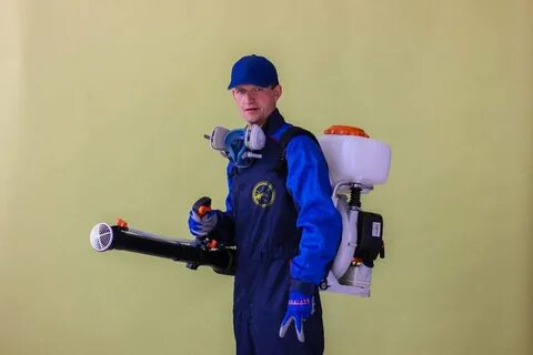 Гор сэс