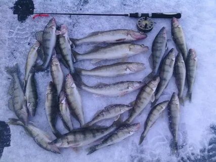 Погода в сюкеево на 14