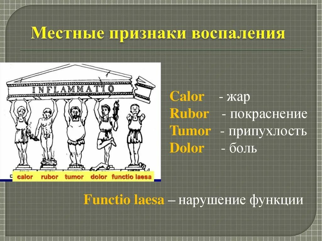 Признак воспаления dolor. Местные признаки воспаления. 5 Признаков воспаления. Rubor tumor признаки воспаления. Рубор тумор калор.