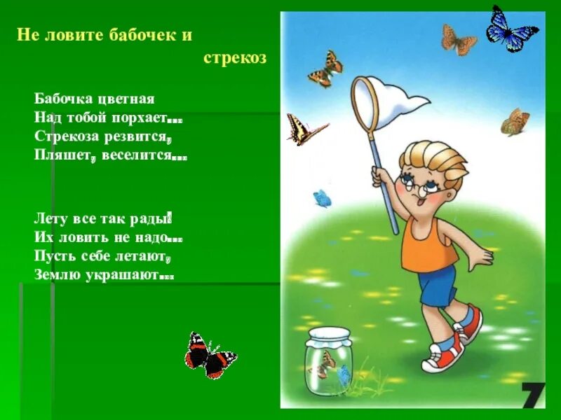 Лови лови 23. Не ловите бабочек. Нельзя ловить бабочек. Ловить бабочек. Не лови бабочек стрекоз.