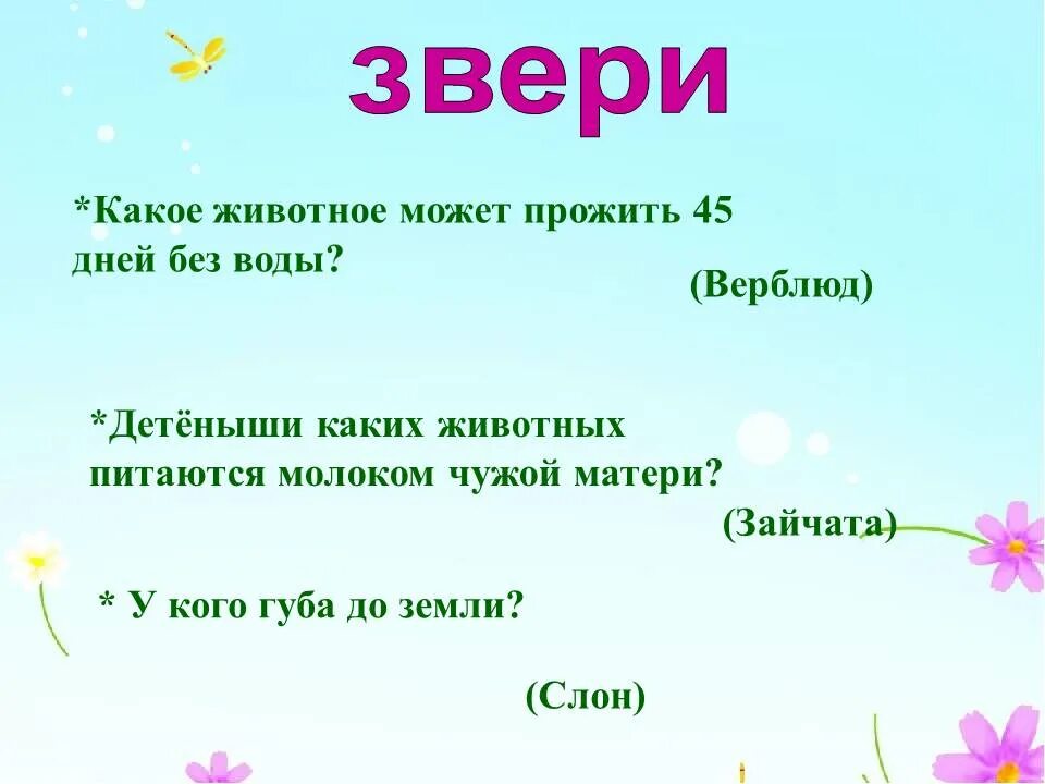 Загадки. Загадки природы. Загадки с ответами короткие. Загадки о живой природе.